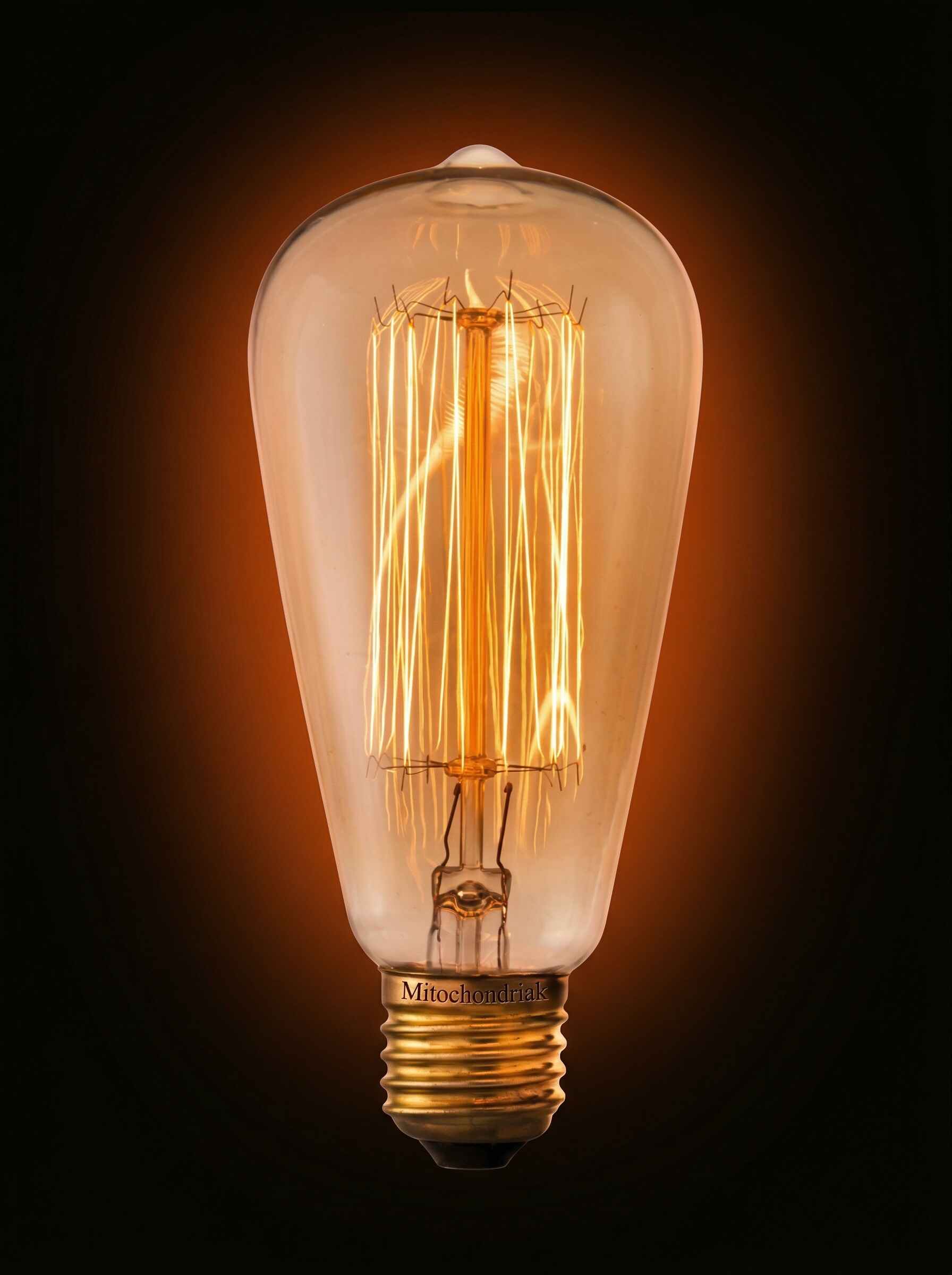 Inkandescentní žárovka Mitochondriak ON